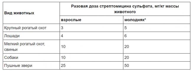 Стрептомицин. инструкция по препарату, применение, цена, формы выпуска, аналоги :: polismed.com