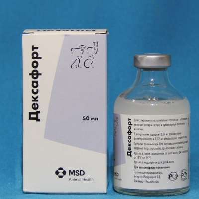 Кортизон