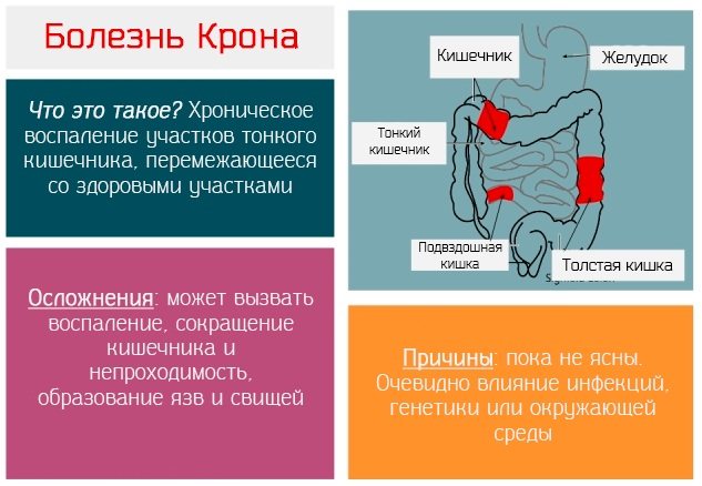 Цианокобаламин — свойства препарата и способы применения