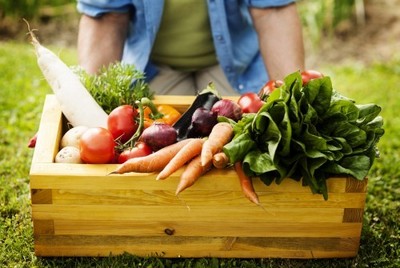 Центры происхождения культурных растений