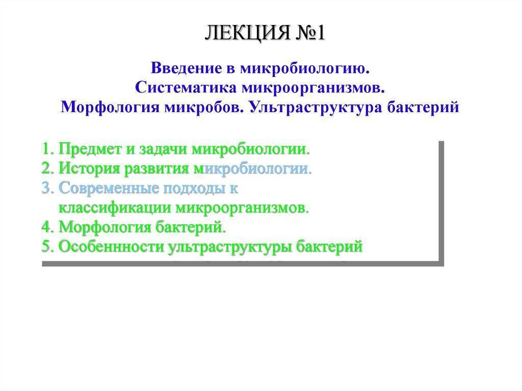 Чем и как отличаются бактерии от простейших