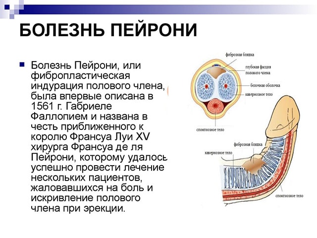 Коллализин