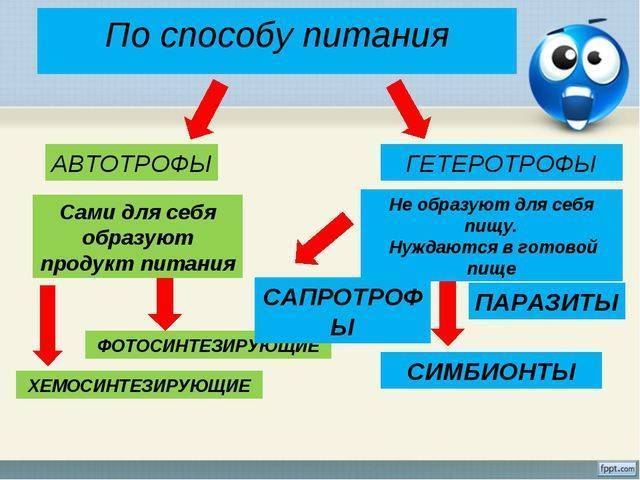 Особенности кислотоустойчивых бактерий как экологического или лабораторного понятия