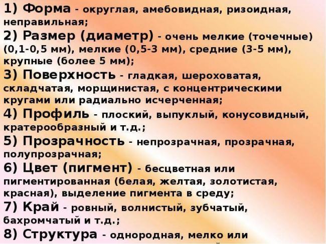 Бактериоз кишечника