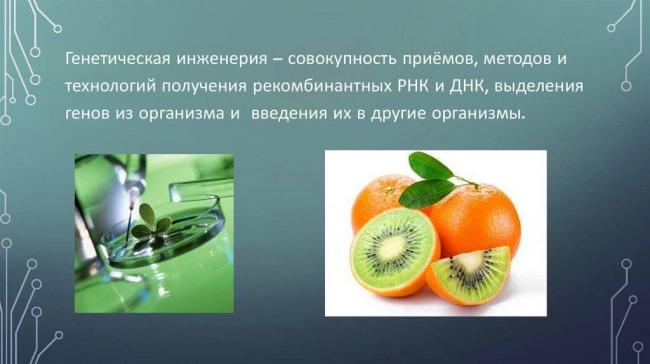 Генное программирование человека и его опасность