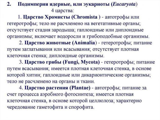 Бактерии анаэробы