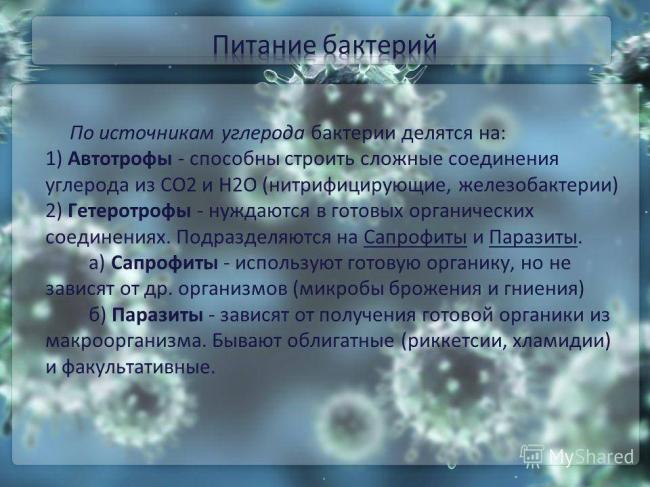 Особенности культивирования и выделения аэробных и анаэробных бактерий