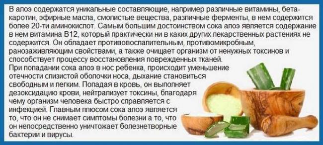 Алоэ от насморка в носу: свойства, противопоказания, рецепты из сока и листьев, и как приготовить в домашних условиях и помогает ли при лечении взрослых и детей?