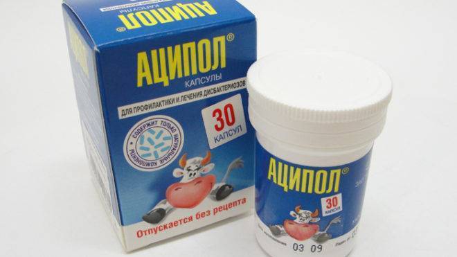 Bifidobacterium longum