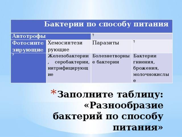 Какие группы бактерий по способу питания могут быть и в чем их различия