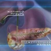 Поджелудочная железа симптомы и лечение диета камни в