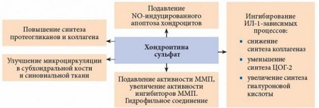 Инструкция по применению хондропротектора артепарон