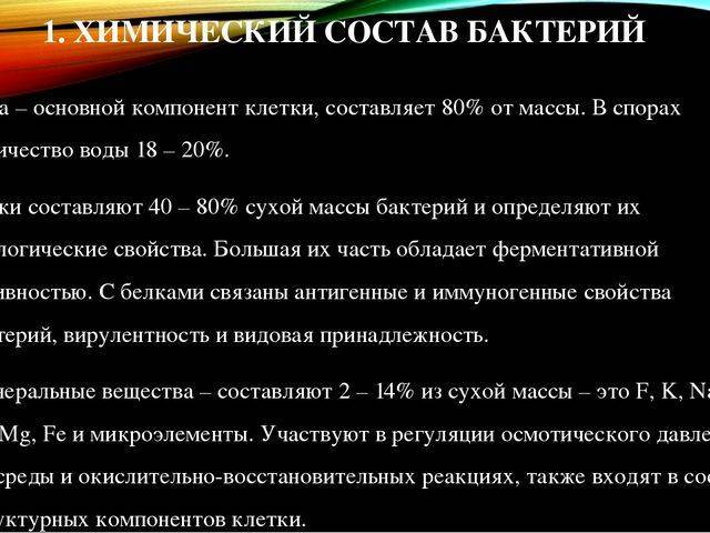 Анаэробные микроорганизмы википедия