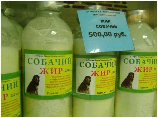 Собачий жир при туберкулезе: противопоказания, как принимать?