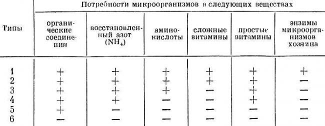 Какие бывают типы или виды бактерий и как их определить