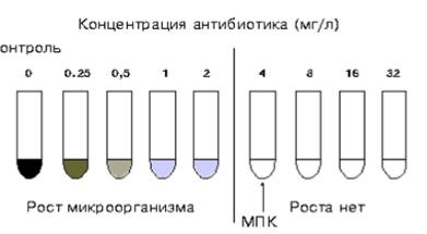 Анализ на чувствительность антибиотиков: как сдавать, посев, мазок и расшифровка