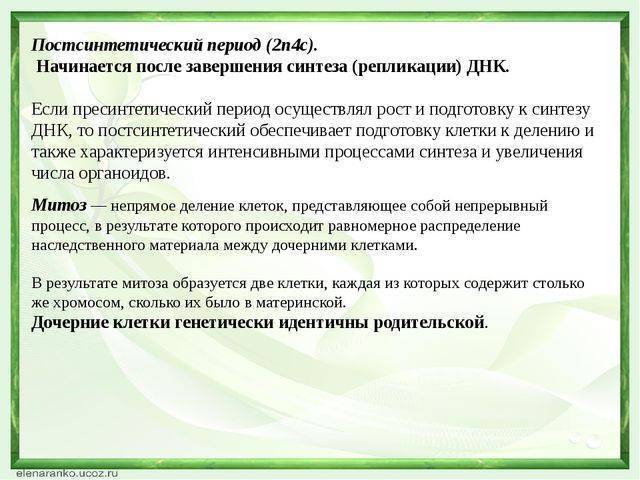 Определяющее значение ворсинок-фимбрий