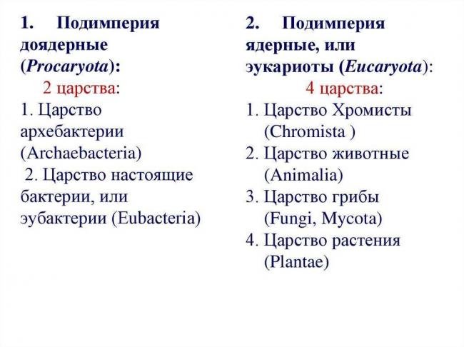 Бактерии анаэробные