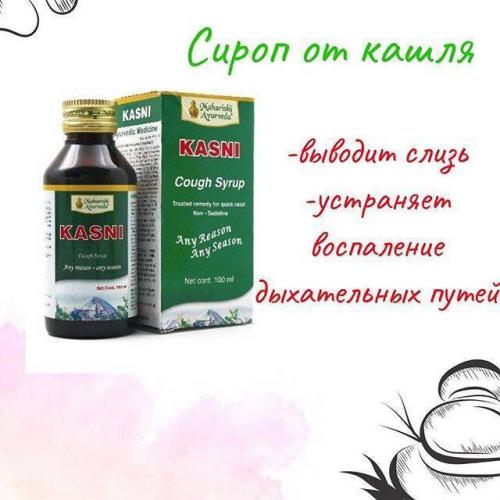 Подорожник: лечебные свойства и противопоказания
