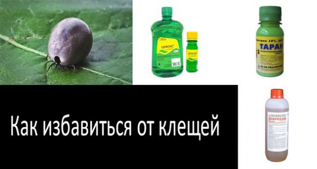 Акарицид - acaricide - qwe.wiki