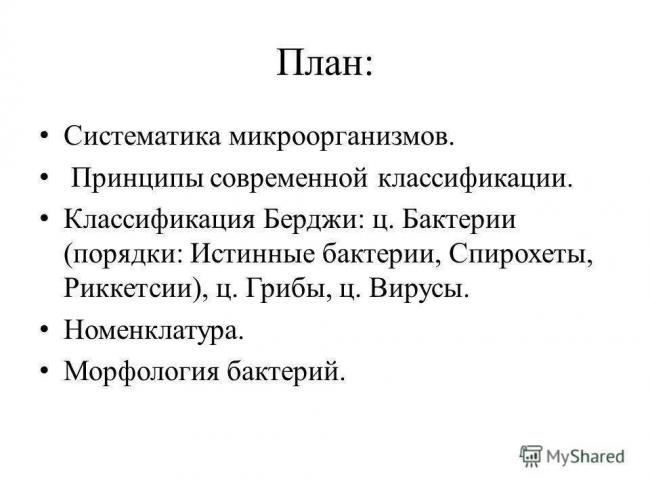 Маленькие, да удаленькие: особенности организма бактерий