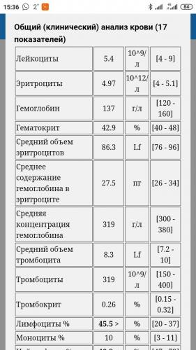 Причины возникновения и лечение лимфоцитоза у взрослых и детей