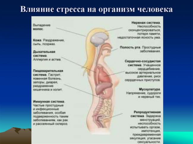Стрессы и стрессовые состояния. причины, стадии, что происходит в организме, позитивные и негативные последствия, методы борьбы и повышения стрессоустойчивости