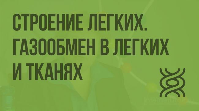Что гемоглобин