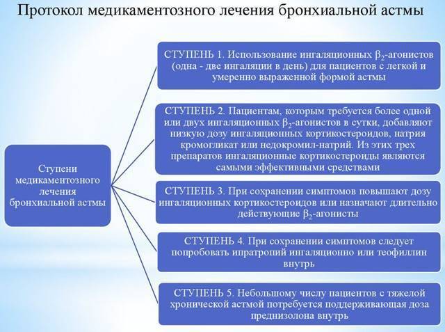 Лечение астмы народными средствами – 17 способов - народная медицина | природушка.ру