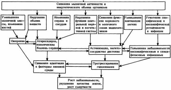 Гиподинамия - файл n1.doc
