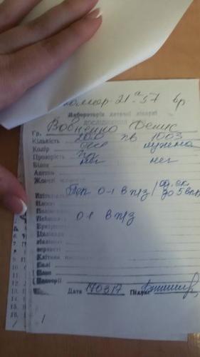 Анализ крови - по каким показателям назначают антибиотики - запись пользователя ulyawa (ulyawa) в сообществе детские болезни от года до трех в категории вирусные инфекции - babyblog.ru