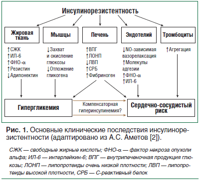 Диета для похудение и правила питания при инсулинорезистентности, меню на каждый день