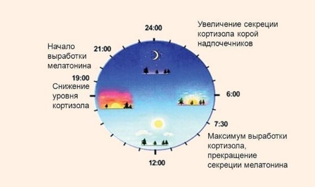 Золпидем (zolpidem) – инструкция по применению