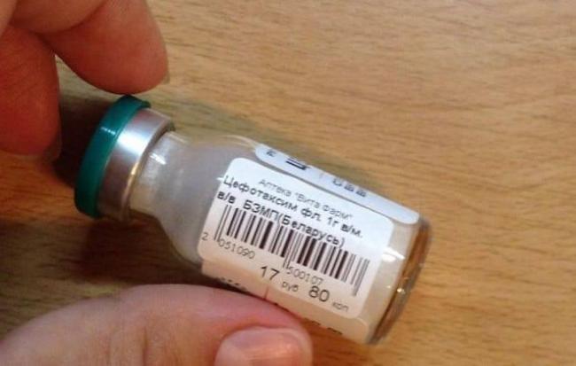 Цефотаксим для собак инструкция по применению. Применение при нарушениях функции почек. Показания к применению уколов Цефотаксима