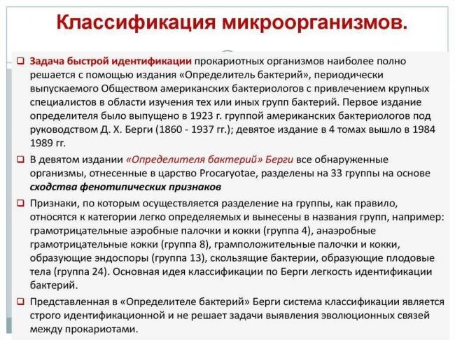 Спирохеты