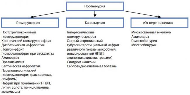 Суточная протеинурия как