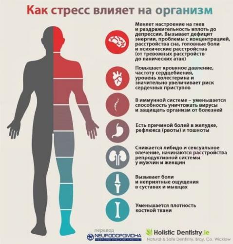 Какие гормоны выделяются при испытании сильного стресса