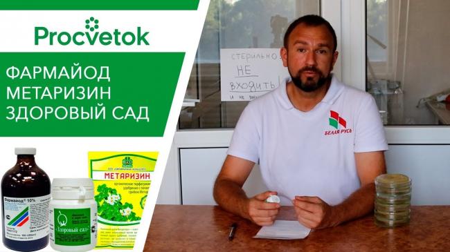 Новинка — биопрепарат метаризин