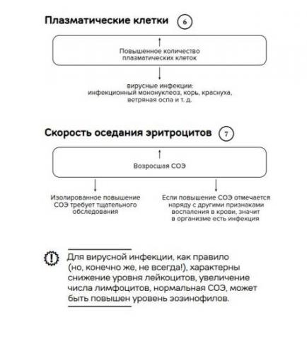 Анализ крови при бактериальной инфекции у ребенка