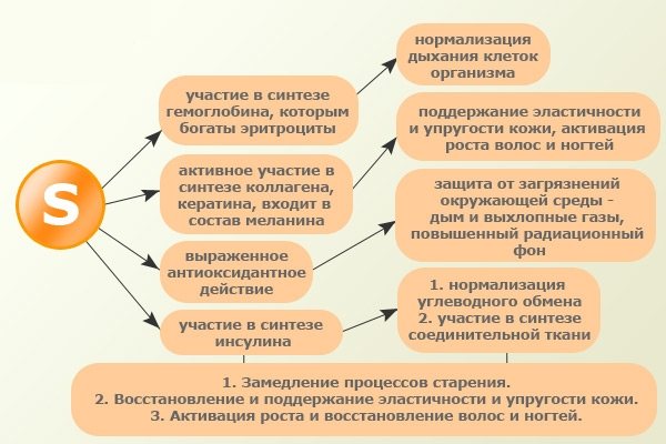 Артра: инструкция, аналоги, цены, отзывы