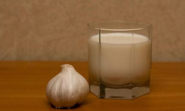 Чеснок в молоке от кашля