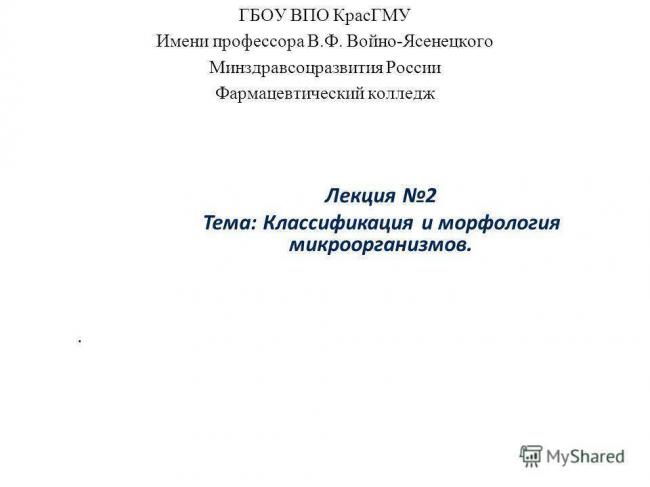 Одноклеточные организмы: список, кто открыл, в каких средах обитают одноклеточные организмы, примеры одноклеточных эукаритов, водорослей, грибов, виды простейших