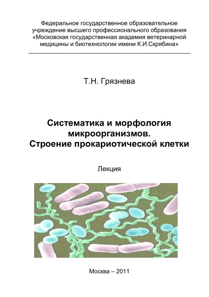 Бактерии – это одноклеточные организмы