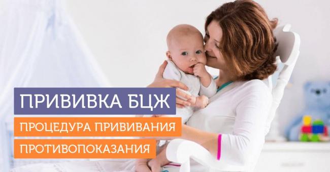 Нет следа от прививки бцж у новорожденного ребенка. когда стоит бить тревогу, если нет рубца от бцж? нет следа от бцж у ребенка комаровский