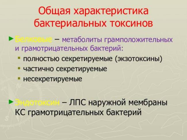 «все могут короли…», или многообразие бактериальных свойств