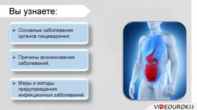 Что мы знаем о бактериях, которые едим?
