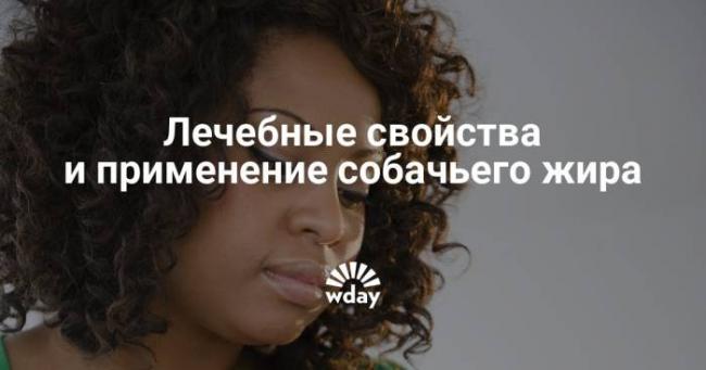 Собачье мясо от туберкулёза: помогает ли в излечении?