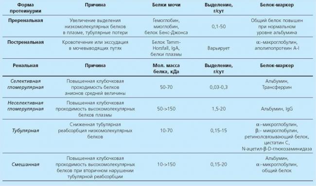 Протеинурия норма