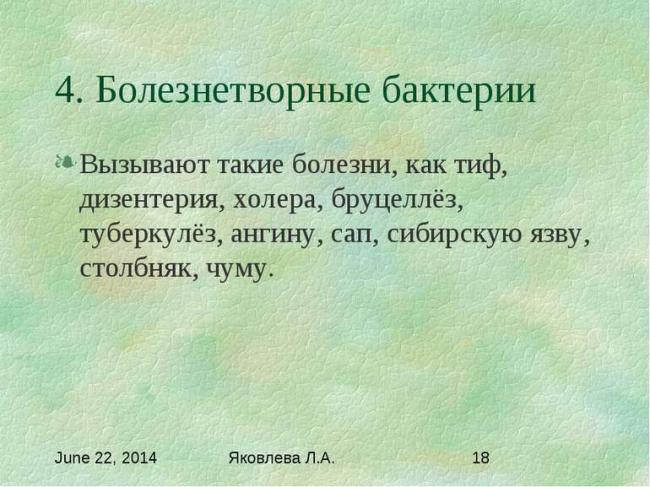 Изучаем родословную бактерий: это животные или растения?