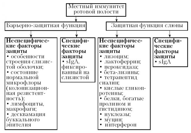 Все, что нужно знать о бактериях полости рта